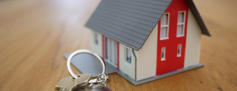 achat immobilier neuf