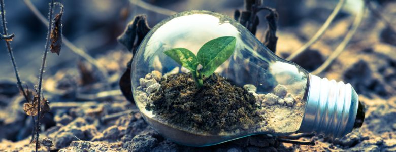 La loi Climat et Résilience dans l'immobilier : ce qui va changer