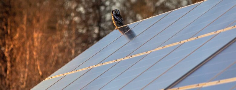 Les panneaux solaires